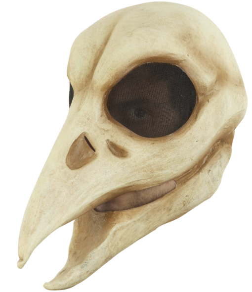 Raven Skull Latex Mask