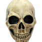 Bone Skull Mask