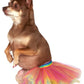 Pet Tutu (Rainbow)