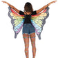 Rainbow Butterfly Wings