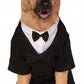 Big Dog: Dapper Dog