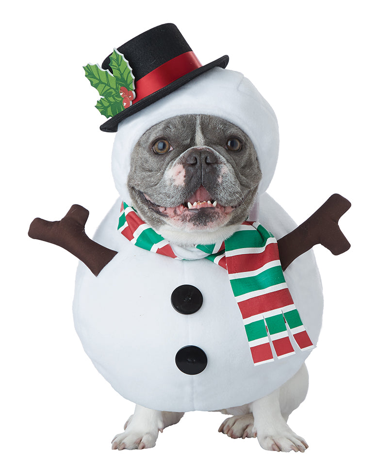 Snowman Dog