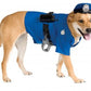 Big Dog: Police Dog