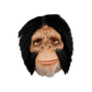 Chimpanzee Latex Mask with Faux Fur