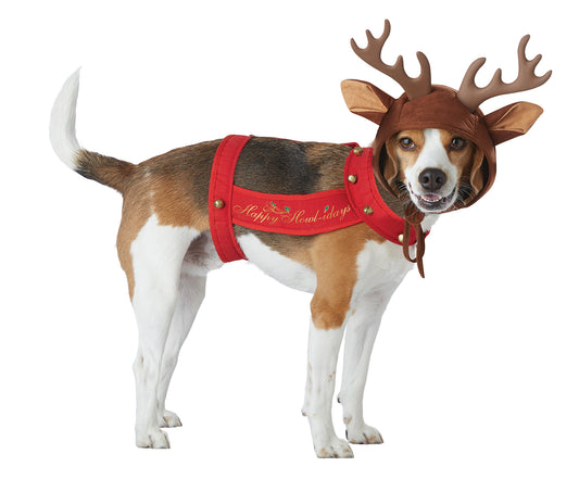 Reindeer Dog