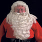 DLX Professional Santa, Extra Full Wig & Beard