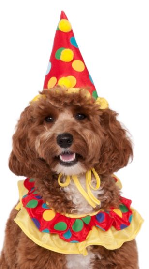 Clown Pet Costume - Standard Size