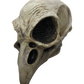 Crow Skull