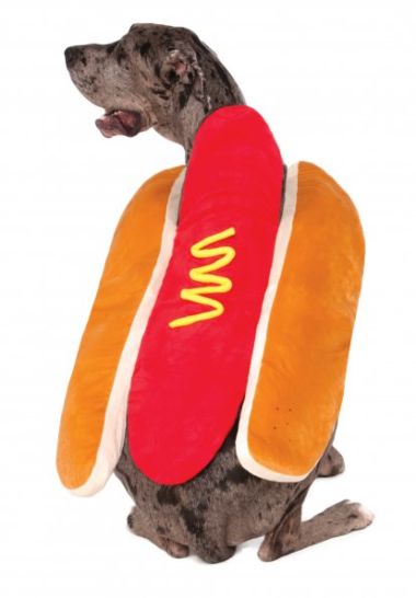 Hot Diggity Dog - XXL