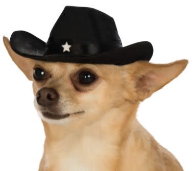 Pet Cowboy Hat (Black)