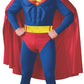 Deluxe Superman Costume w/ Muscle Chest