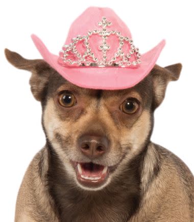 Cowboy Pet Hat w/ Tiara (Pink)