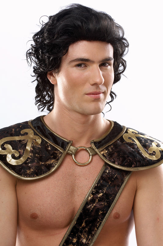 Deluxe Hunk Wig - Black