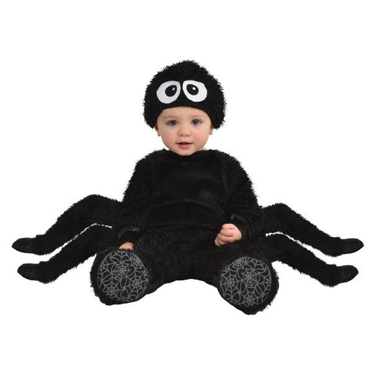 Infant Spider Crawler