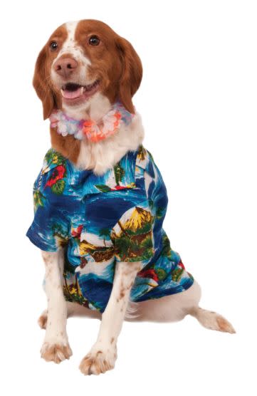 Luau Pet Costume