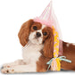 Princess Pet Hat w/ Braid