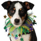 Mardi Gras: Fancy Pet Collar