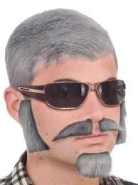 Facial Hair Disguise Kit