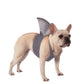 Pet Shark Fin