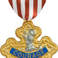 Cowardly Lion Badge of Courage