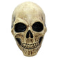 Bone Skull Mask