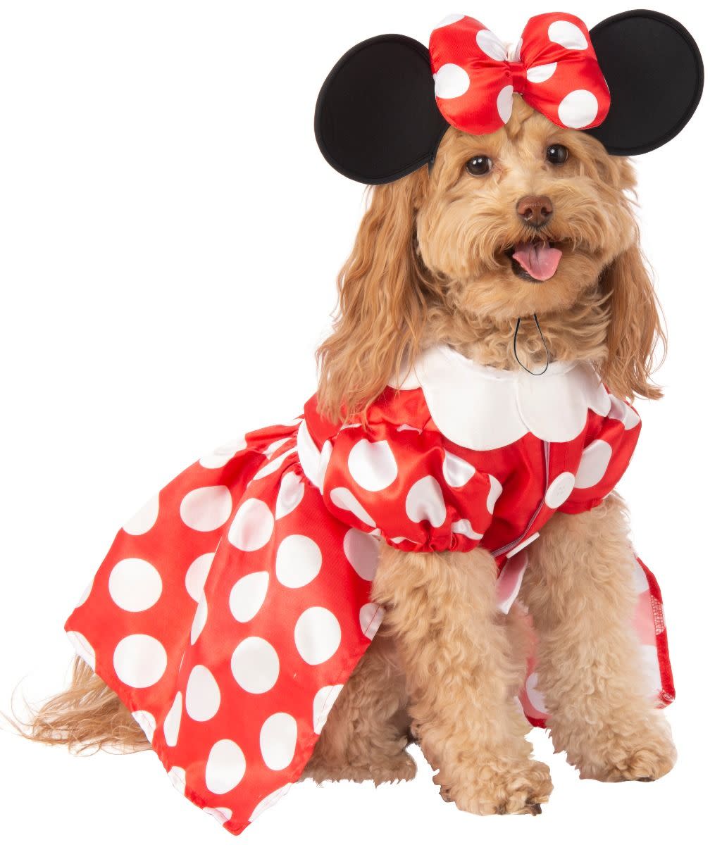 Minnie Mouse Dress