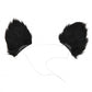 Cat Ears & Tail Kit: Black