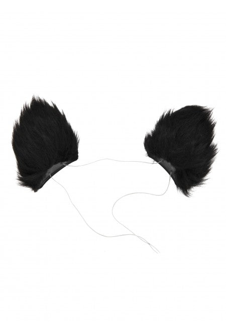 Cat Ears & Tail Kit: Black