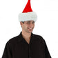 Curly Q Santa Plush Hat