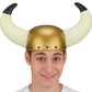 Viking Helmet w/ Horns