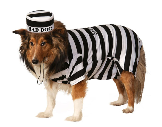 Prisoner (Bad Dog)