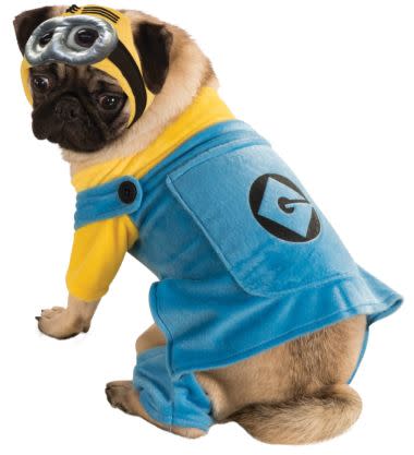 Pet Minion