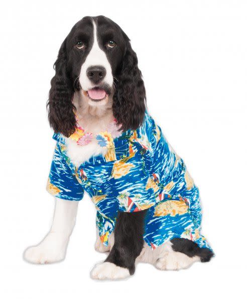 Big Dog: Luau