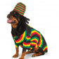 Big Dog: Rasta