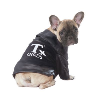 T-Birds Pet Jacket