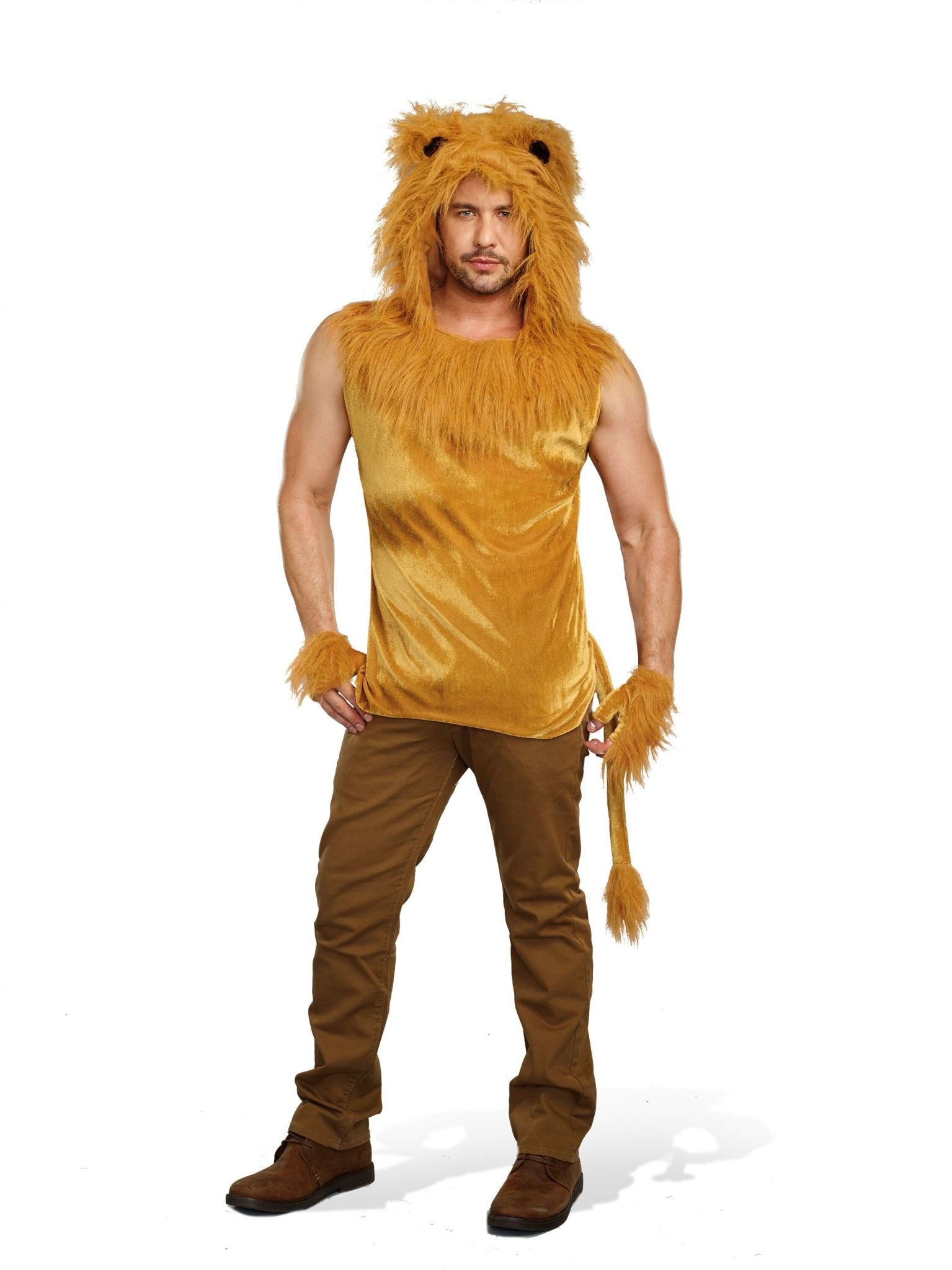 The Lion King Costumes in Halloween Costumes The Lion King Costumes in Halloween Costumes