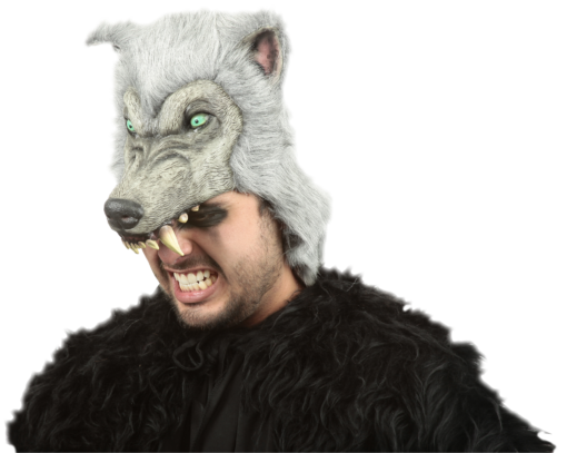 Gray Wolf Helmet