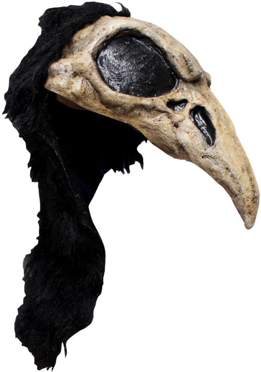 Crow Bird Helmet Mask