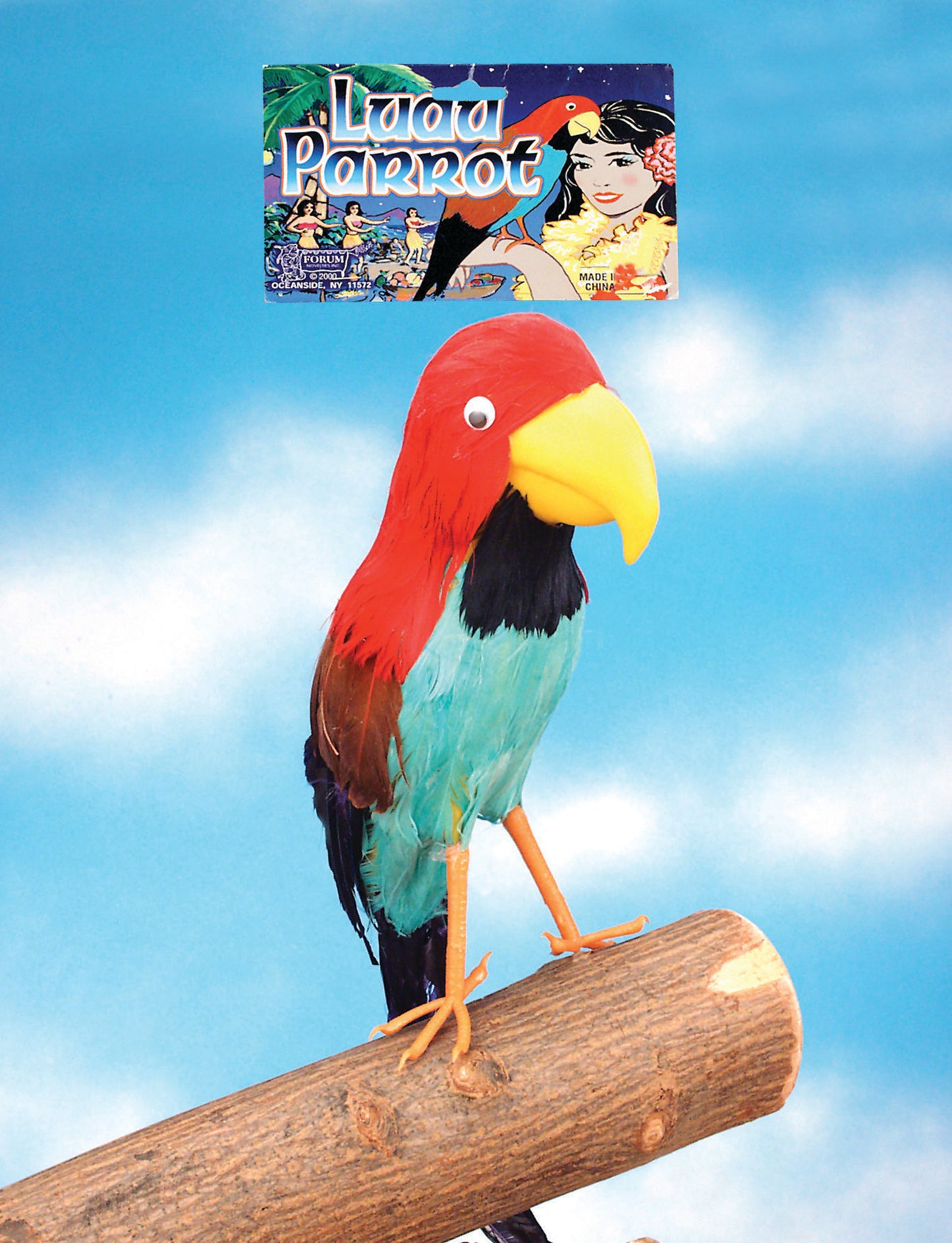 Buccaneer Parrot