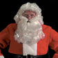 Deluxe Santa Curly Wig & Beard Set - White