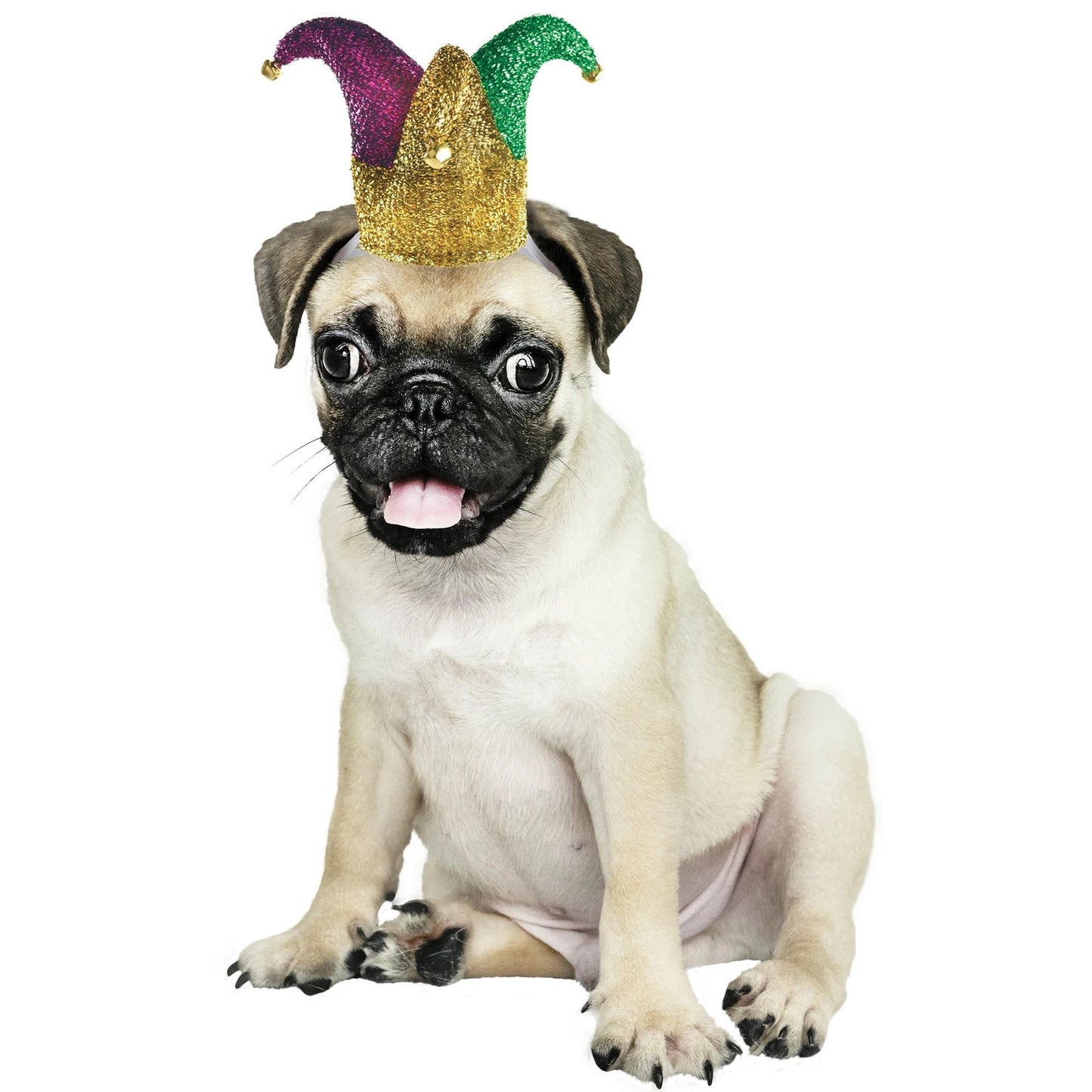 A Mardi Gras colored Jester hat for pets.