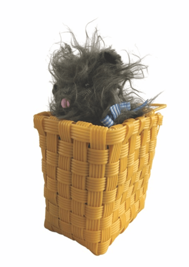 Toto In The Basket