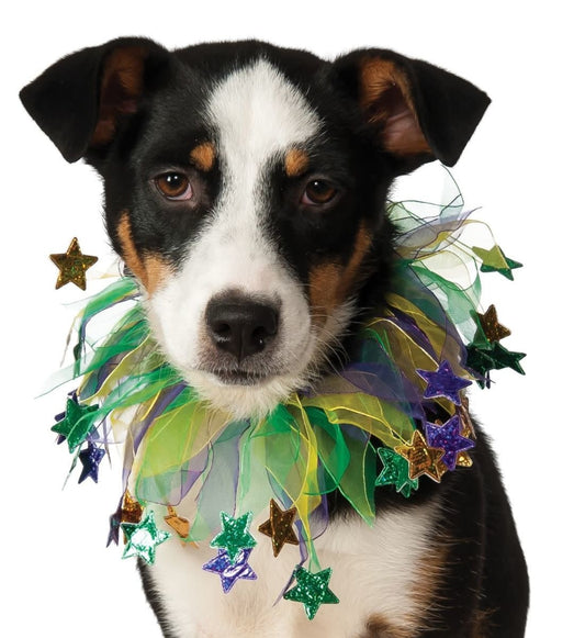 Mardi Gras: Fancy Pet Collar