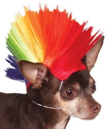 Pet Mohawk Wig (Rainbow)
