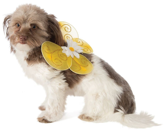 Bumble Bee Wings: Pet Costume