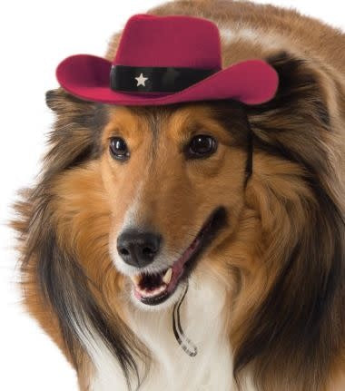 Cowboy Pet Hat (Red)