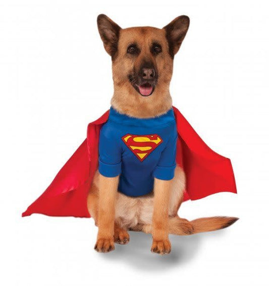Big Dog: Superman Pet Costume
