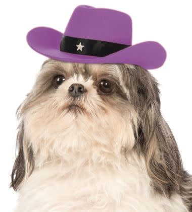 Cowboy Pet Hat (Lavender)