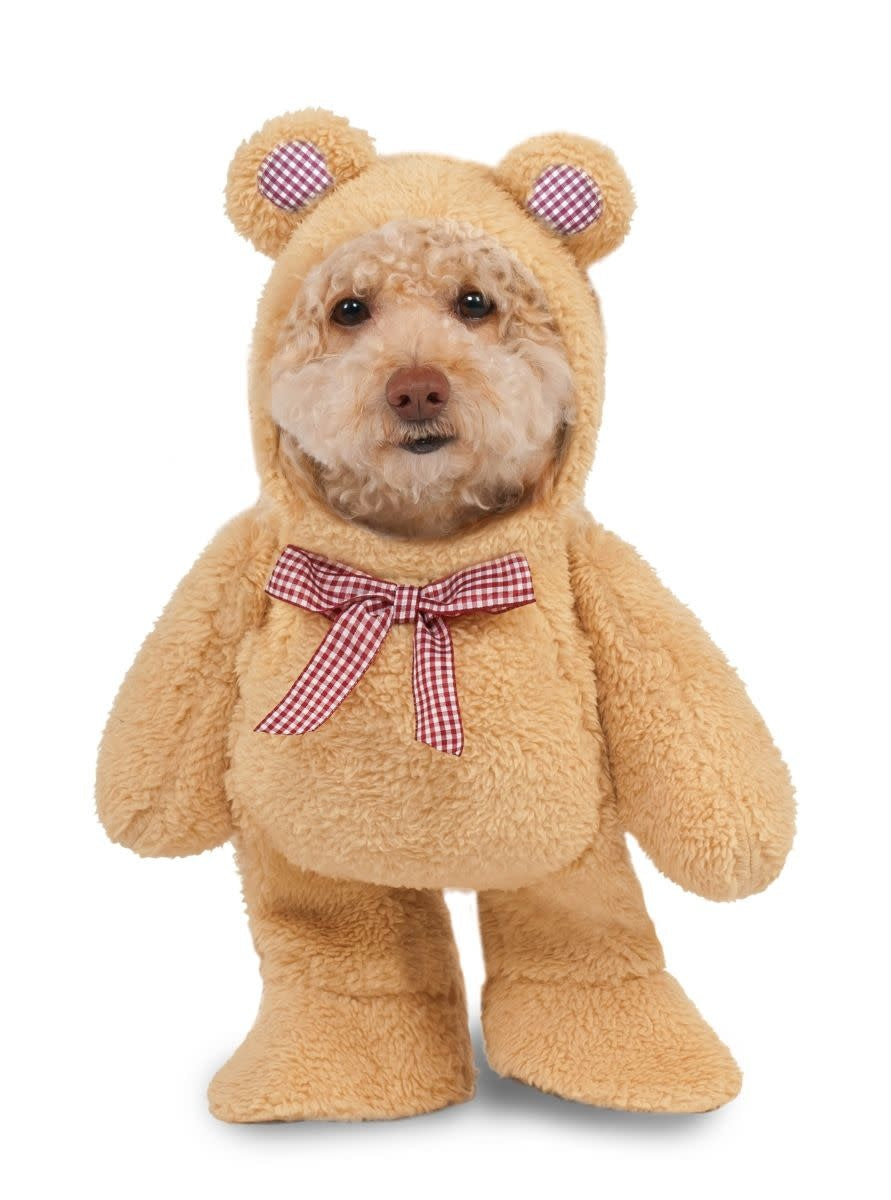 Walking Teddy Bear: Pet Costume
