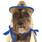 Cowgirl Hat w/ Braids: Pet Costume